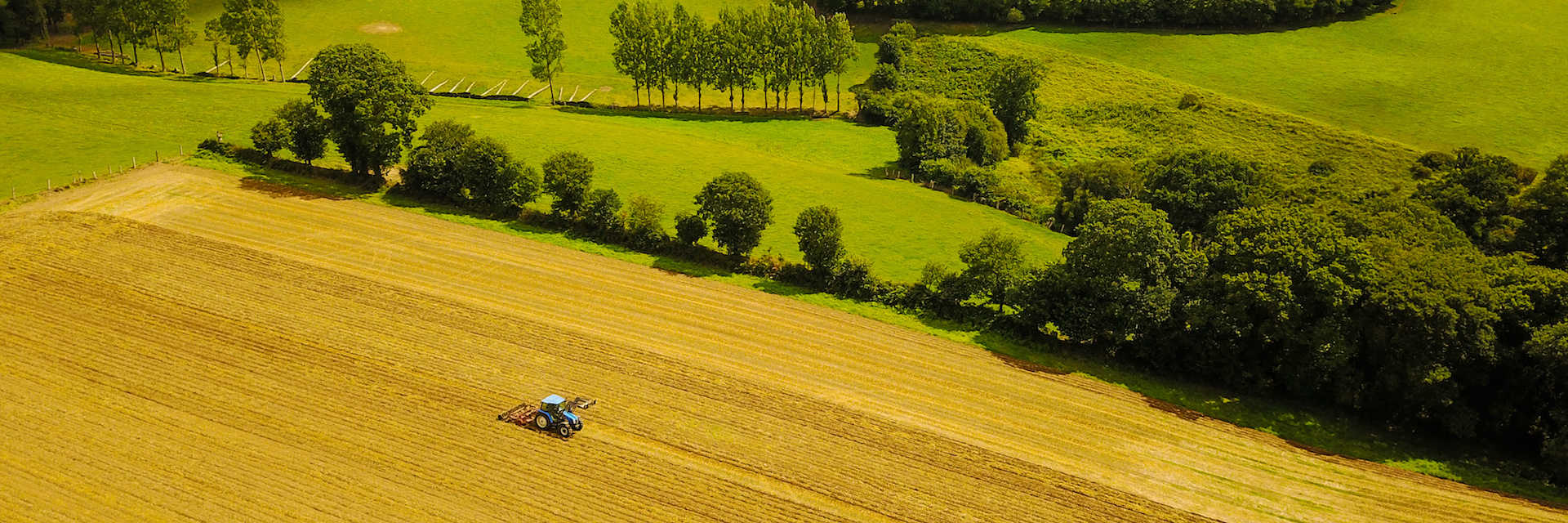 Agriculture in Uganda