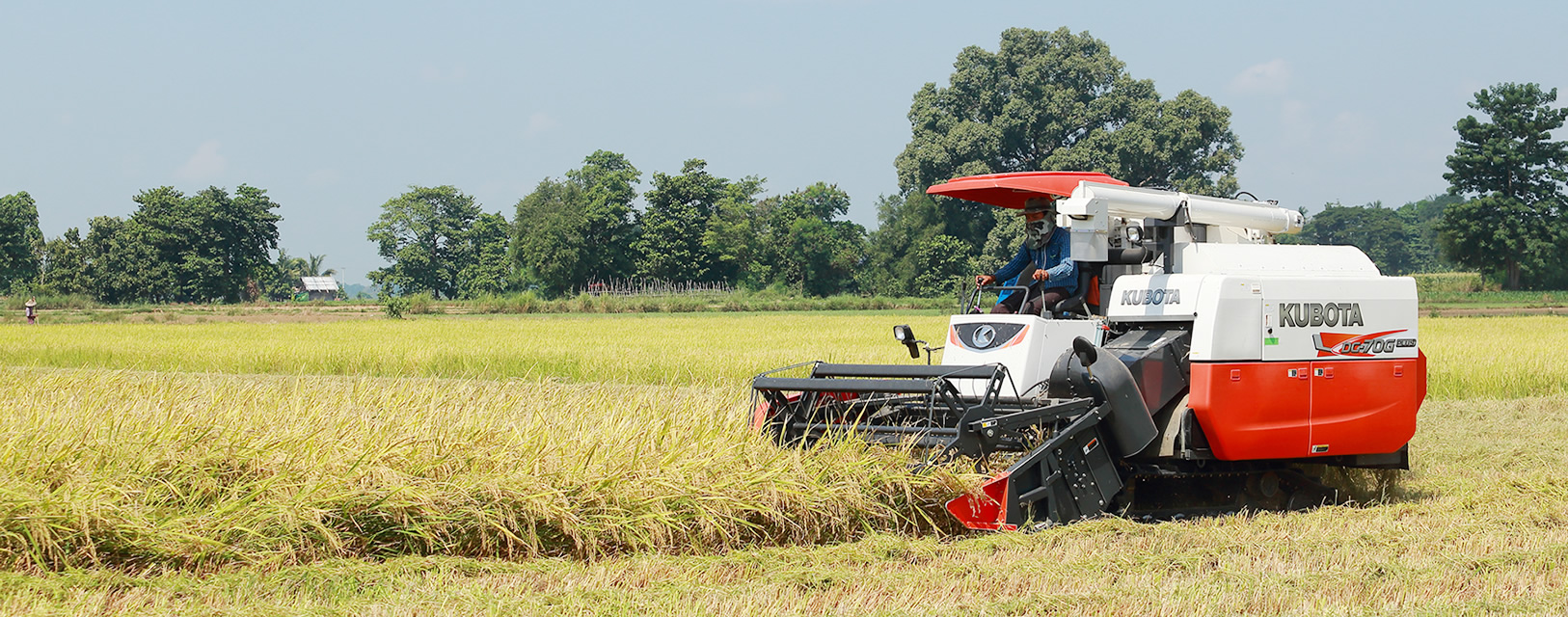 Combine Harvesters in Uganda