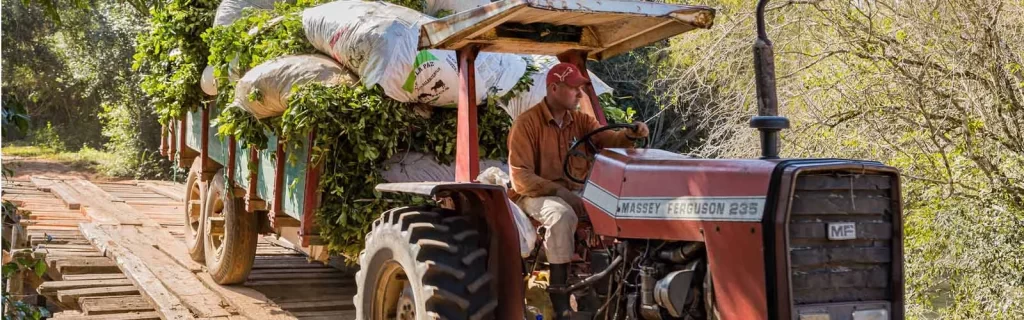 The Link Between Massey Ferguson Tractors and Food Security in Uganda